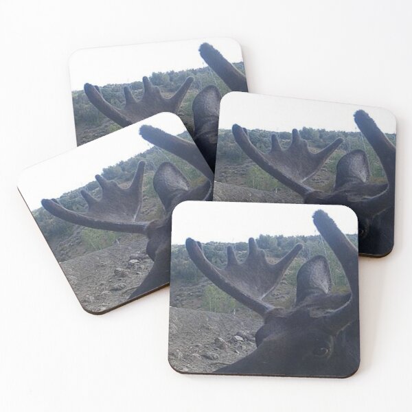 Item preview, Moose designed and sold by Backyardtrail.