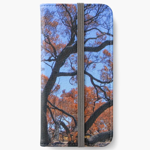 Sunburnt Country iPhone Wallet