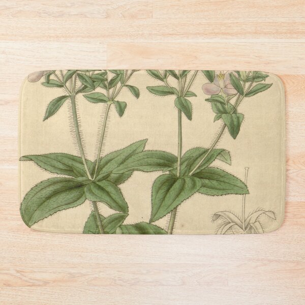 Item preview, Arthrostemma versicolor 65 3678 designed and sold by EsotericBotanic.