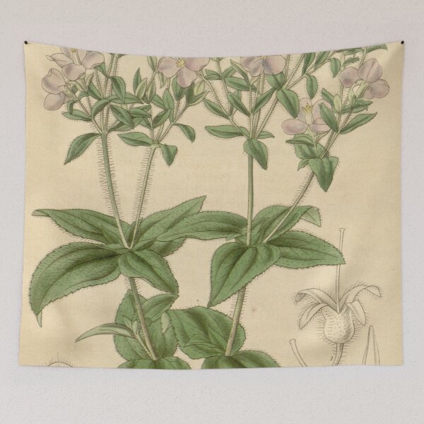 Item preview, Arthrostemma versicolor 65 3678 designed and sold by EsotericBotanic.