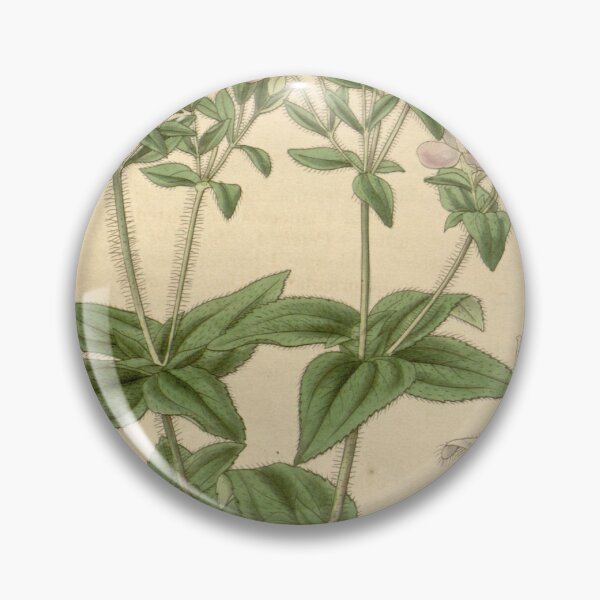 Item preview, Arthrostemma versicolor 65 3678 designed and sold by EsotericBotanic.