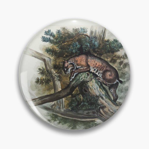 Item preview, Zoological sketches by Joseph Wolf 1861 to 1867 056 The Norwegian Lynx designed and sold by WetdryvacRB01.