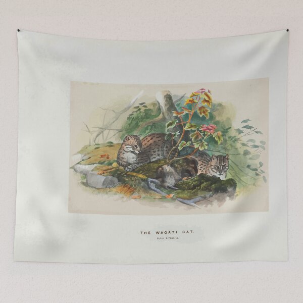 Item preview, Zoological sketches by Joseph Wolf 1861 to 1867 057 The Wagati cat designed and sold by WetdryvacRB01.