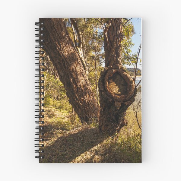 Item preview, Trees In The Light designed and sold by Geoff Wols.