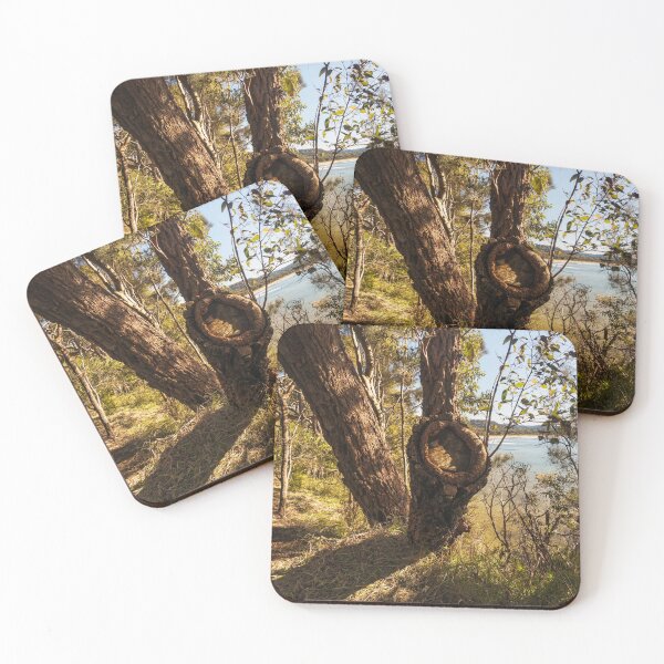 Item preview, Trees In The Light designed and sold by Geoff Wols.