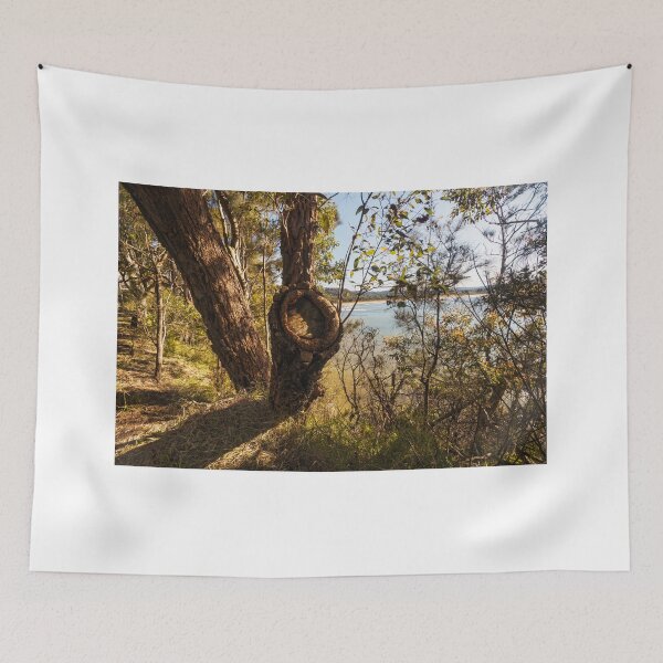 Item preview, Trees In The Light designed and sold by Geoff Wols.
