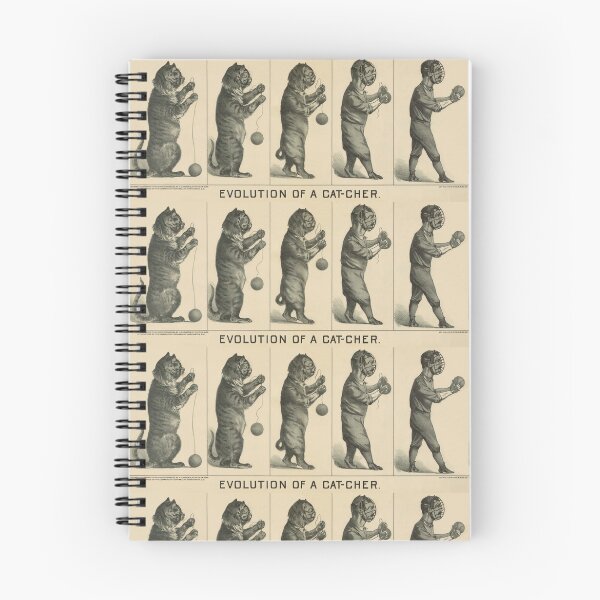 Item preview, Baseball history, 1889 drawing Evolution of a cat-cher designed and sold by aapshop.