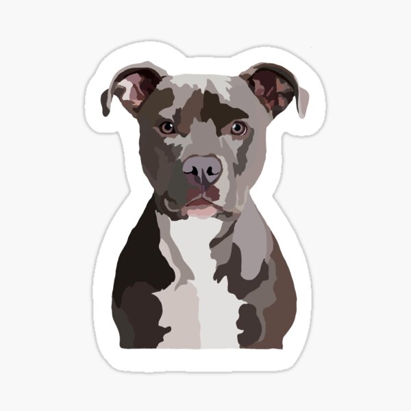 Generic Auto Sticker Autoaufkleber Lustig Dog Blue Nose Pitbull