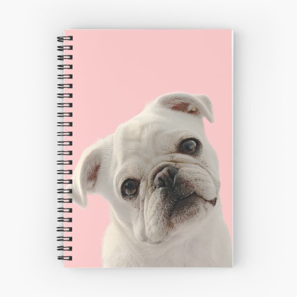 Artikelvorschau, Mops Liebe - Weißer Mops auf rosa Hintergrund entworfen und verkauft von Dear-Roe.