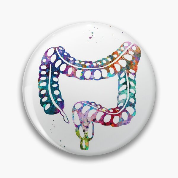 Item preview, Human Lower Gastrointestinal Tract designed and sold by EvasDreams.