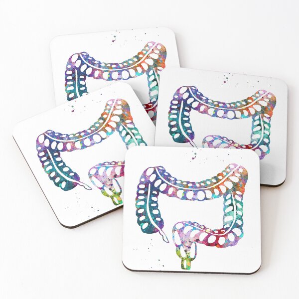 Item preview, Human Lower Gastrointestinal Tract designed and sold by EvasDreams.