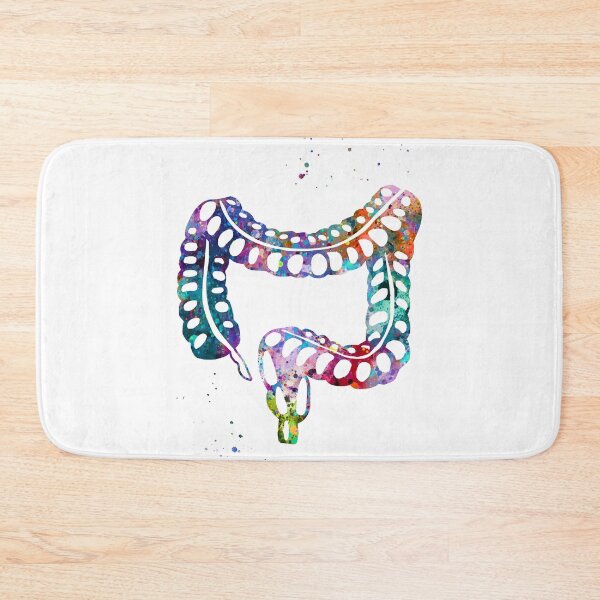 Item preview, Human Lower Gastrointestinal Tract designed and sold by EvasDreams.