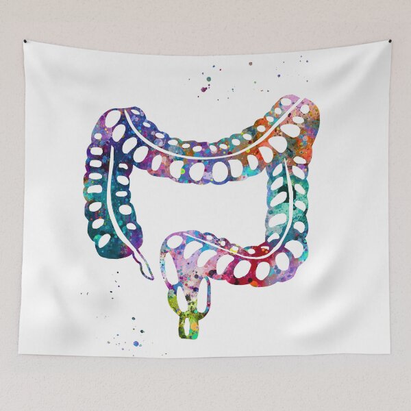 Item preview, Human Lower Gastrointestinal Tract designed and sold by EvasDreams.