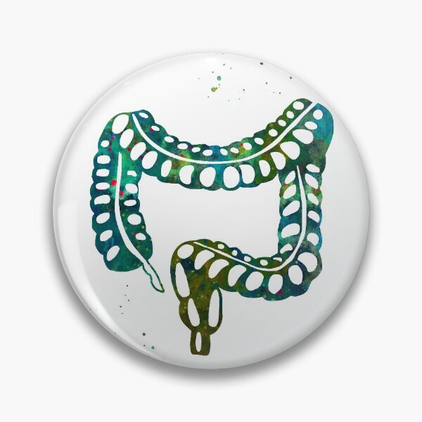 Item preview, Human Lower Gastrointestinal Tract designed and sold by EvasDreams.