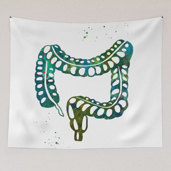 Item preview, Human Lower Gastrointestinal Tract designed and sold by EvasDreams.