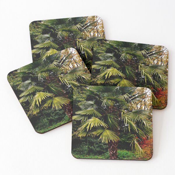 Item preview, Palm tree designed and sold by OMdesigns93.