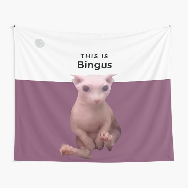 Bingus Tapestry Wall Hangings Dorm Room Decor Banner Frat 