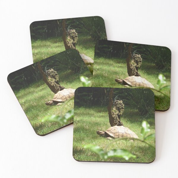 Item preview, Turtle in the garden designed and sold by Ksaavet.