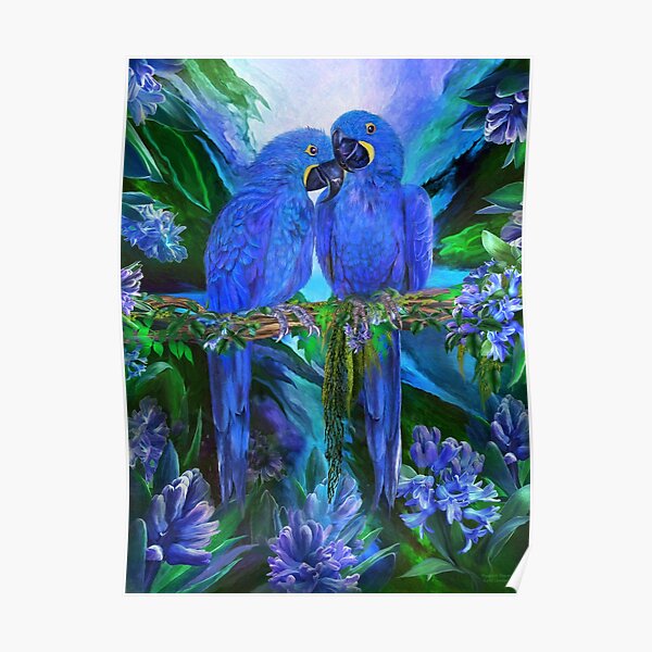 Tropic Spirits - Hyacinth Macaw Poster