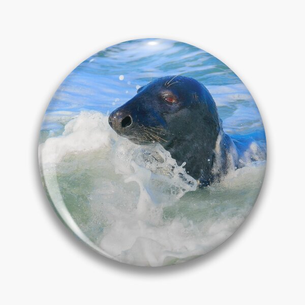 Item preview, Grey Seal (Halichoerus grypus) designed and sold by RobKellyPhoto.