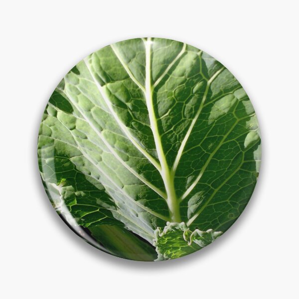 Item preview, Winter Cabbage designed and sold by lezvee.
