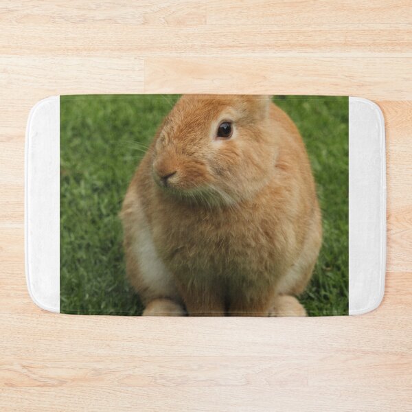 Item preview, SUZY WABBIT designed and sold by CUTESTUFFnow.