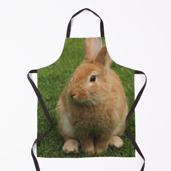 Item preview, SUZY WABBIT designed and sold by CUTESTUFFnow.