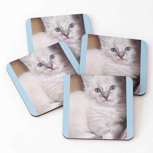 Item preview, Ragdoll kitten designed and sold by Fluffycat2020.