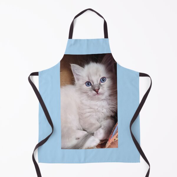 Item preview, Ragdoll kitten designed and sold by Fluffycat2020.