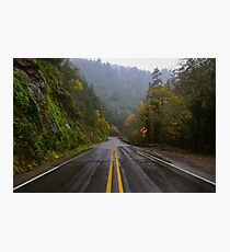Humbug Mountain State Park, Curry County, Oregon Photographic Print