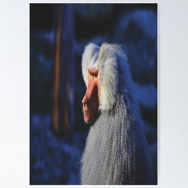 Item preview, BABOON designed and sold by CUTESTUFFnow.