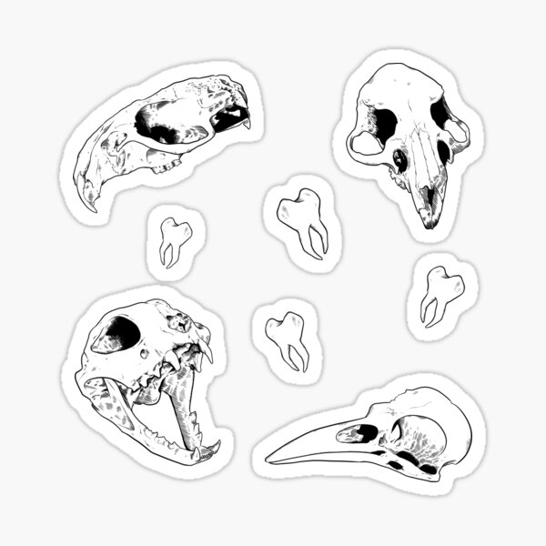 Animal Bones Stickers for Sale