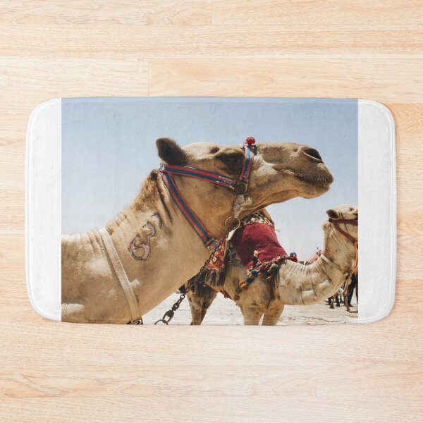 Item preview, TWO CAMELS STANDING IN DESERT designed and sold by CUTESTUFFnow.