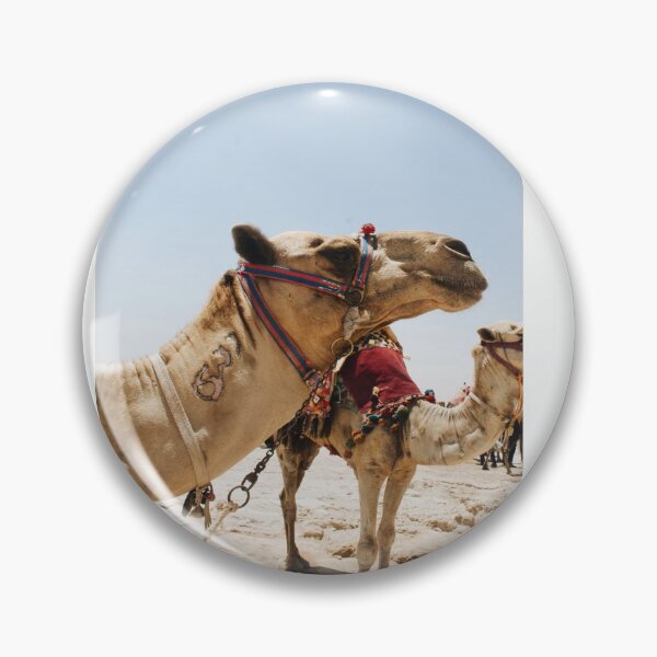Item preview, TWO CAMELS STANDING IN DESERT designed and sold by CUTESTUFFnow.