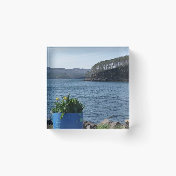 Artikelvorschau, Shieldaig Island und Tulpen entworfen und verkauft von Pebbles on the Beach.