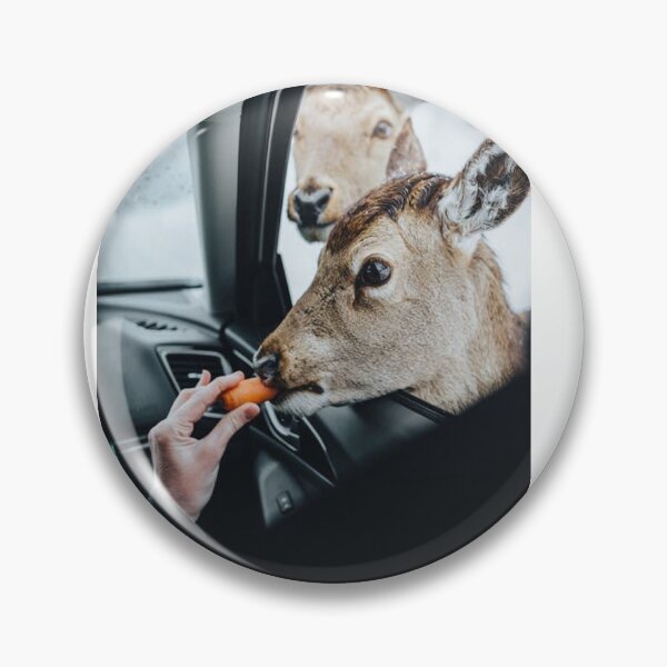 Item preview, DEER BEING PET & FED THROUGH A CAR WINDOW designed and sold by CUTESTUFFnow.