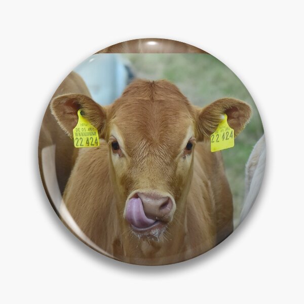 Item preview, Cows - calves - cattle designed and sold by Glineur.