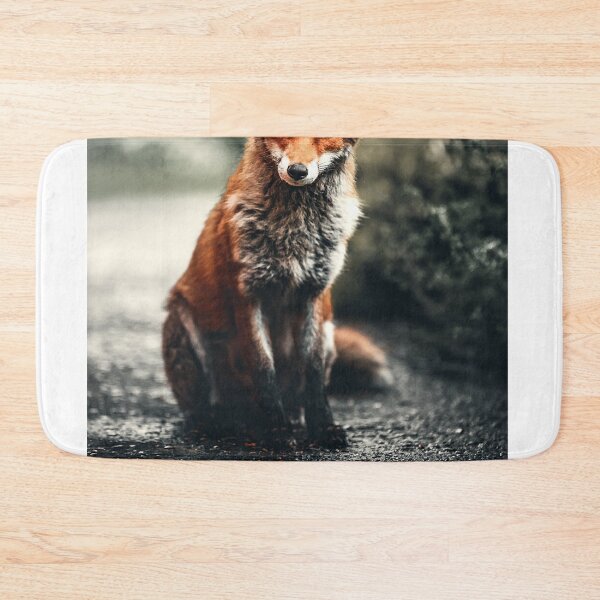 Artikelvorschau, Fuchs, der dich ansieht entworfen und verkauft von CUTESTUFFnow.
