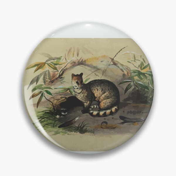Item preview, Zoological sketches by Joseph Wolf 1861 to 1867 058 The Rasse designed and sold by WetdryvacRB01.