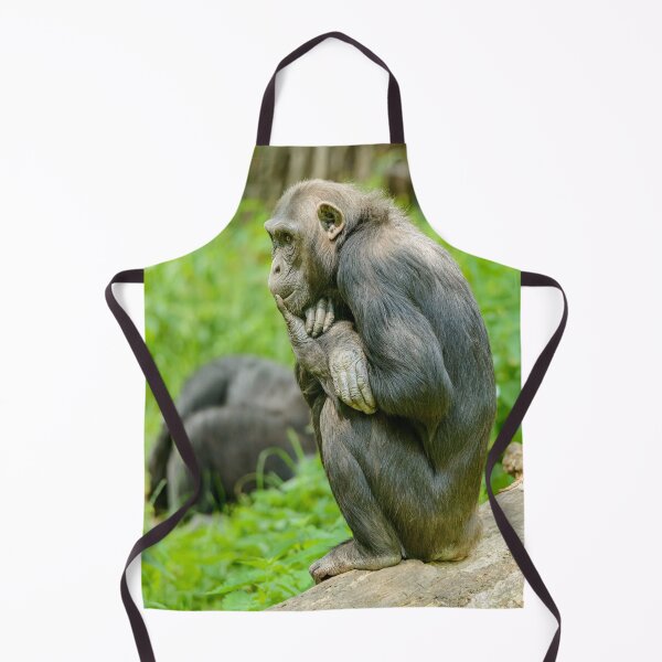 Item preview, MONKEY NO DOUBT (TRYING TO THINK) designed and sold by CUTESTUFFnow.
