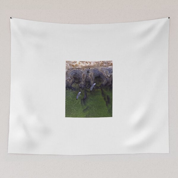 Item preview, Cape Barren Geese designed and sold by victor.