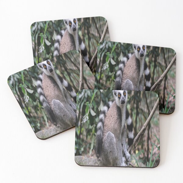 Item preview, Weird LIL JUNGLE ANIMAL designed and sold by CUTESTUFFnow.