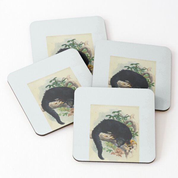 Item preview, Zoological sketches by Joseph Wolf 1861 to 1867 060 The Bintuong designed and sold by WetdryvacRB01.