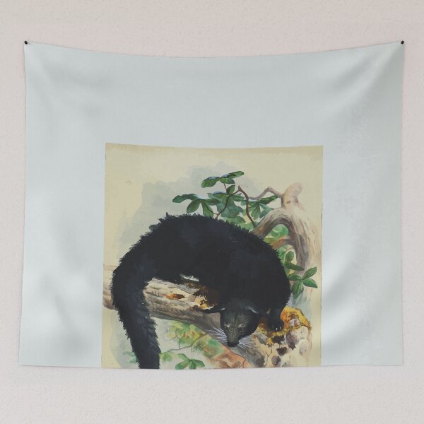 Item preview, Zoological sketches by Joseph Wolf 1861 to 1867 060 The Bintuong designed and sold by WetdryvacRB01.