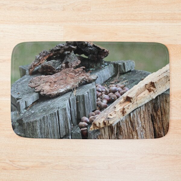 Item preview, Stashing my Nuts designed and sold by Susie Kramer.