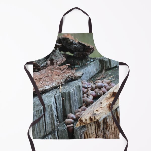 Item preview, Stashing my Nuts designed and sold by Susie Kramer.