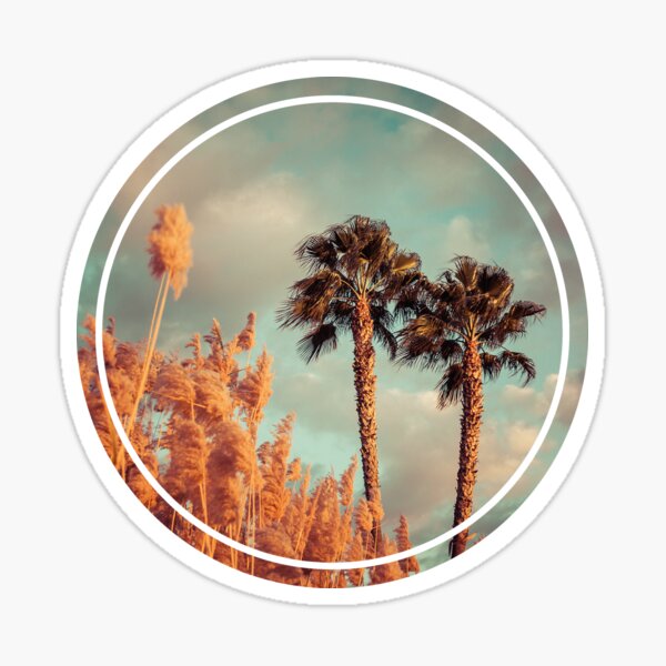 Reeds by the Beach - Californian Style Sticker