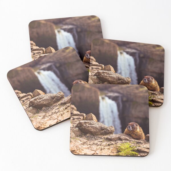 Item preview, Curious Marmot designed and sold by Joshua Snyder.