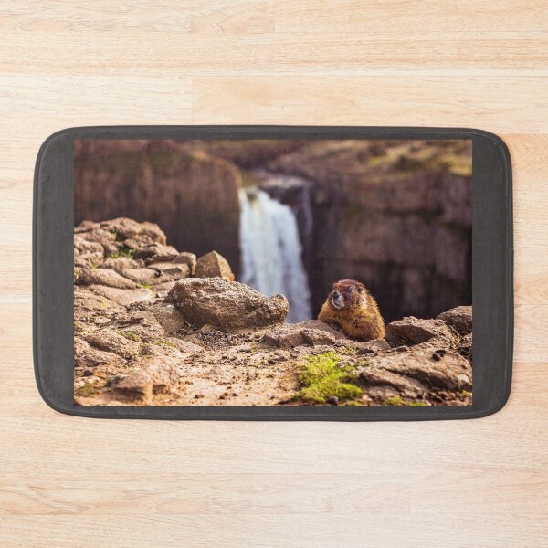 Item preview, Curious Marmot designed and sold by Joshua Snyder.