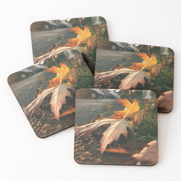 Item preview, Autumn leaves in the sun decorating the streets - The colors of autumn -Photography designed and sold by greatnorris.